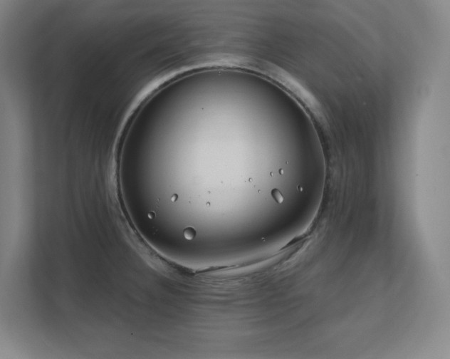 X0000111791332200907231135