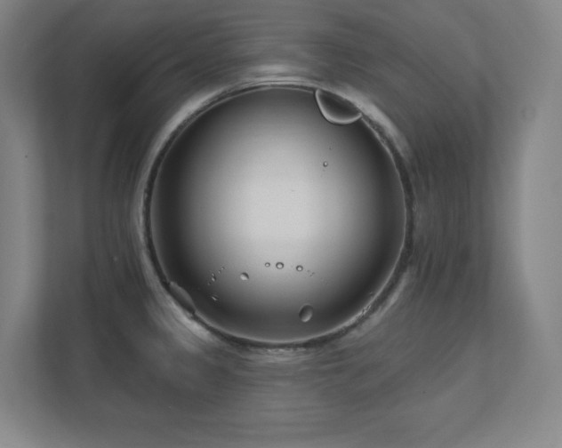 X0000111791333200907231135