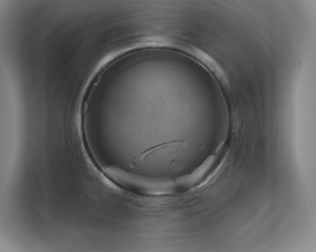 X0000111791334200907231135