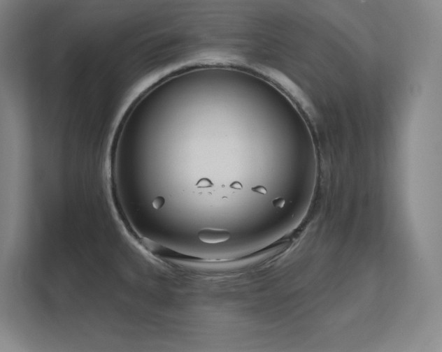X0000111791335200907231135