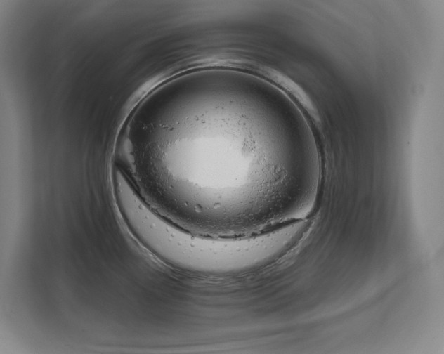 X0000111791338200907231135