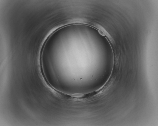 X0000111791339200907231135