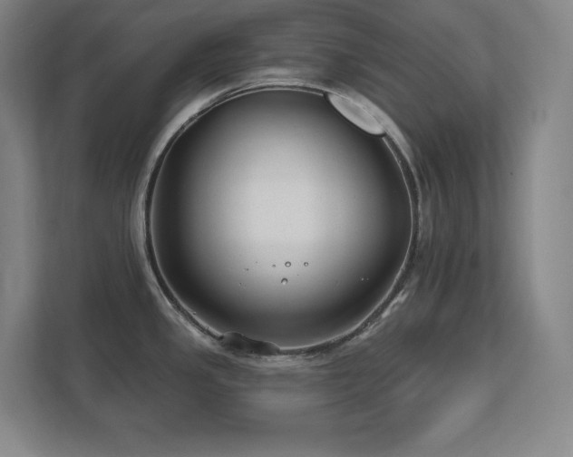 X0000111791341200907231135
