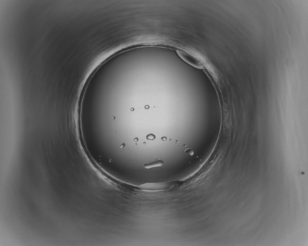X0000111791343200907231135