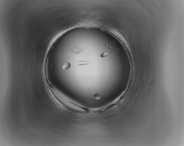 X0000111791344200907231135