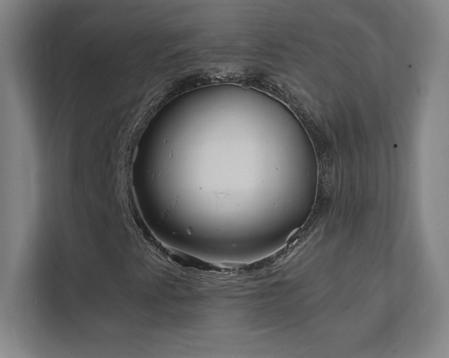 X0000111791345200907231135