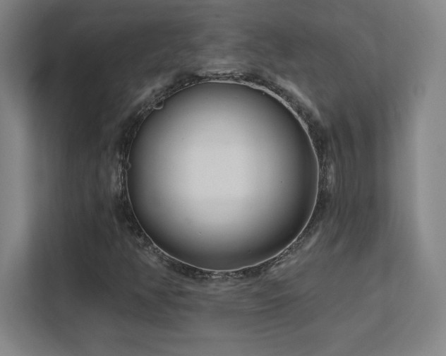 X0000111791350200907231134