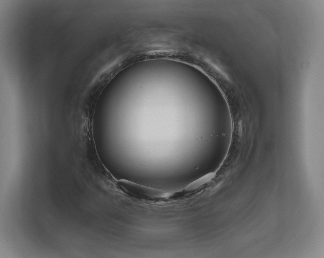 X0000111791351200907231134