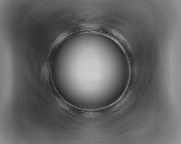 X0000111791354200907231134