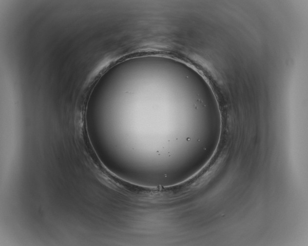 X0000111791355200907231134