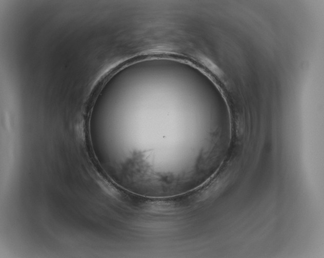 X0000111791356200907231134
