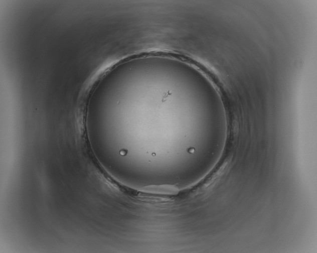 X0000111791359200907231134