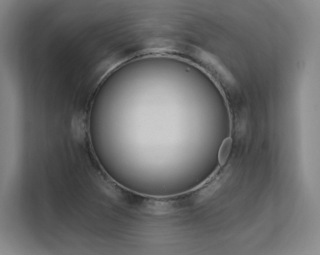 X0000111791361200907231134