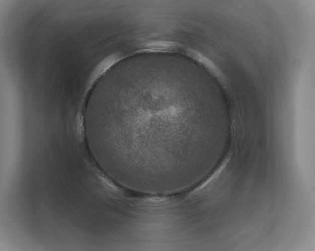 X0000111791362200907231134