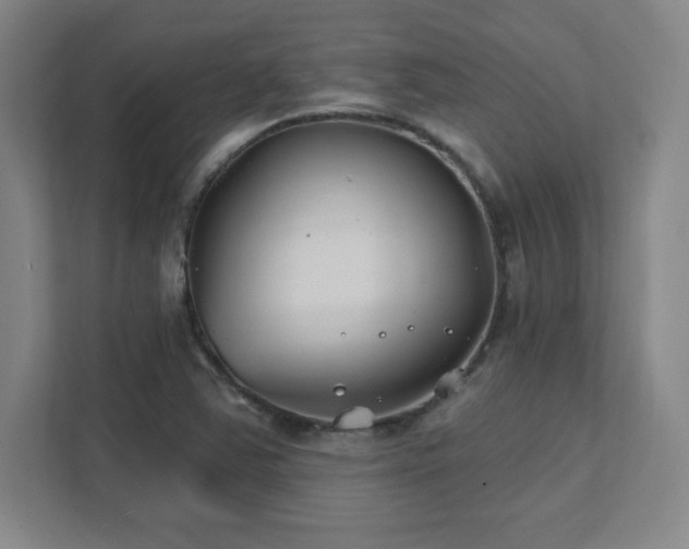 X0000111791363200907231134