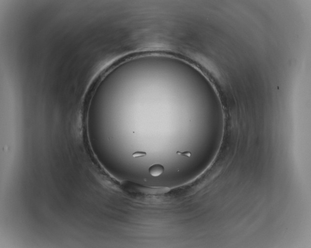 X0000111791364200907231134