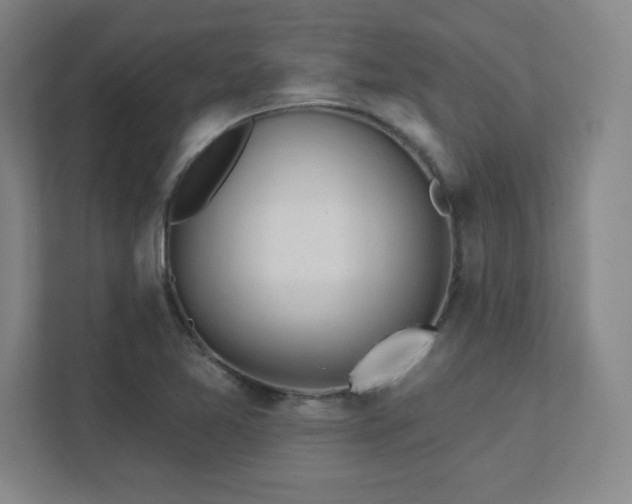 X0000111791365200907231134