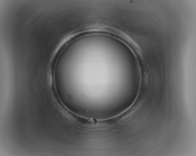 X0000111791368200907231134