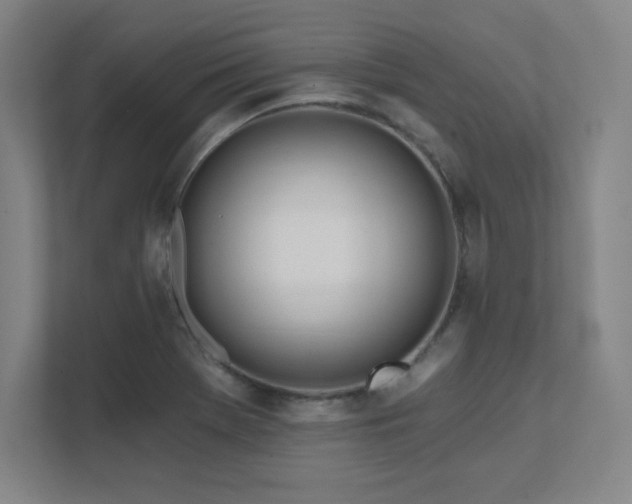X0000111791369200907231134