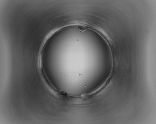 X0000111791371200907231134
