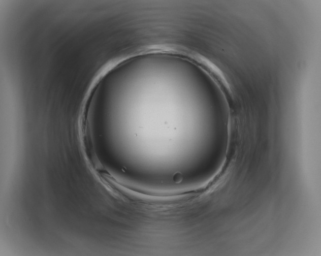 X0000111791373200907231134
