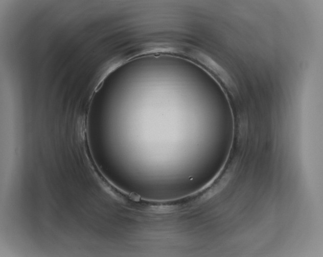 X0000111791377200907231134