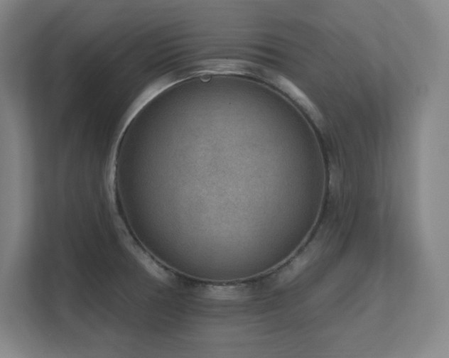X0000111791378200907231134