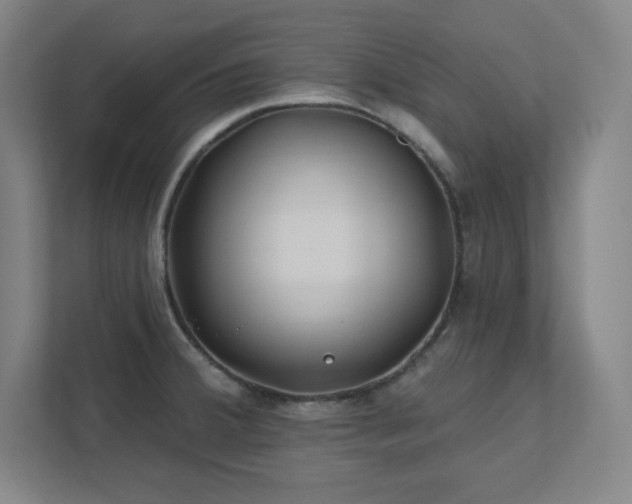 X0000111791380200907231134
