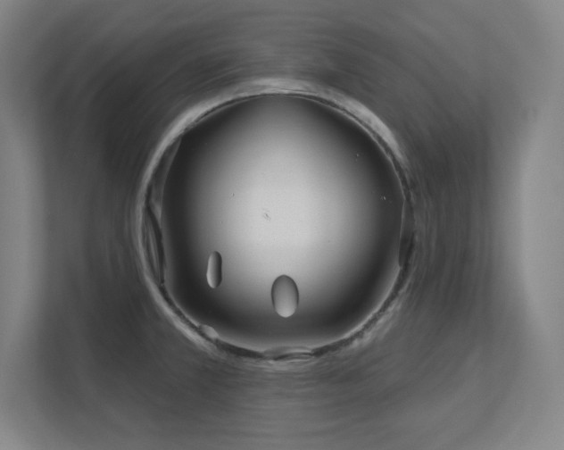 X0000111791381200907231134