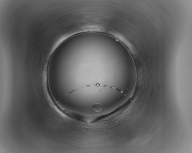 X0000111791383200907231134