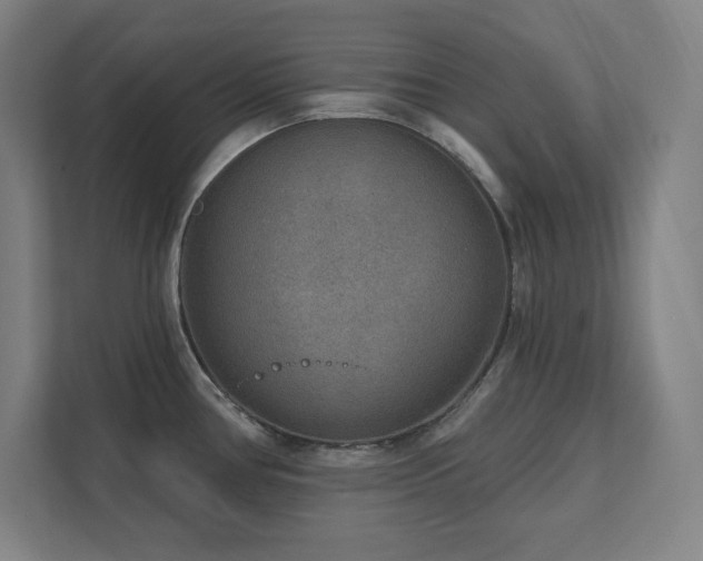 X0000111791386200907231134