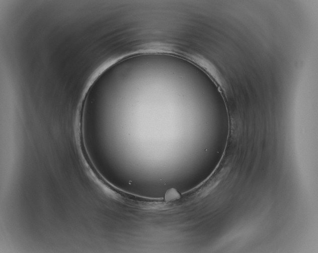 X0000111791387200907231134