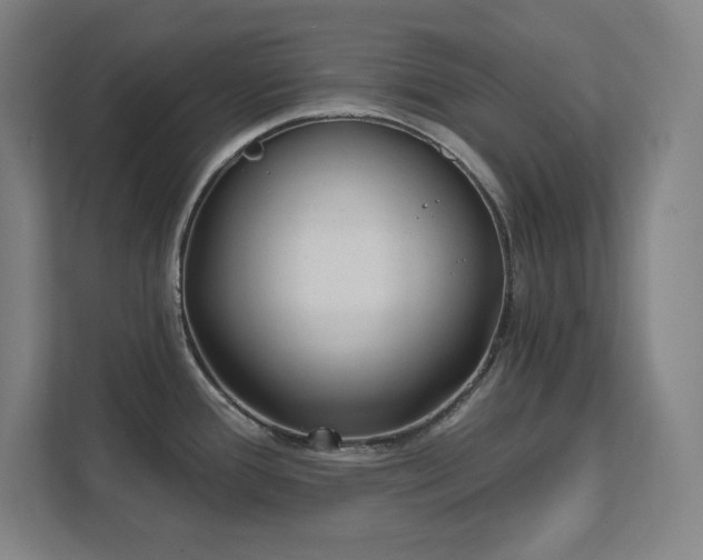 X0000111791388200907231134