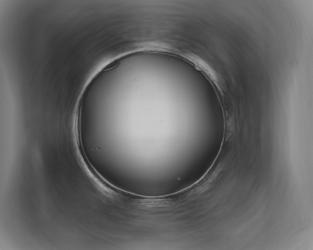 X0000111791391200907231134