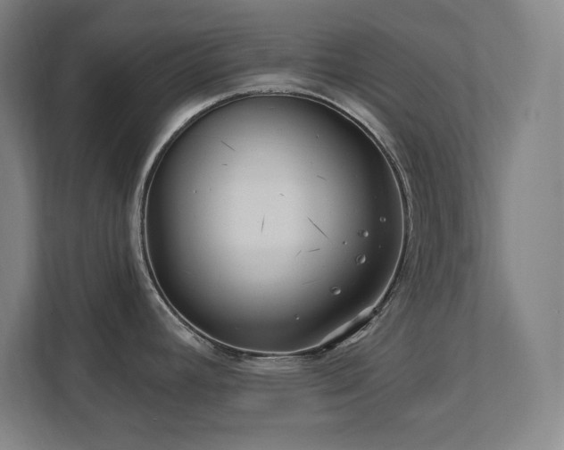 X0000111791392200907231134