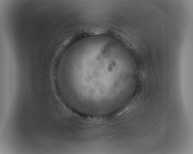 X0000111791393200907231133