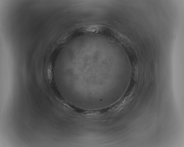 X0000111791394200907231133