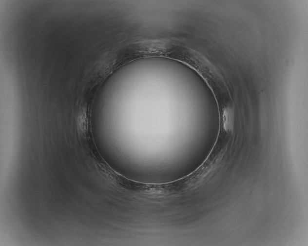 X0000111791395200907231133