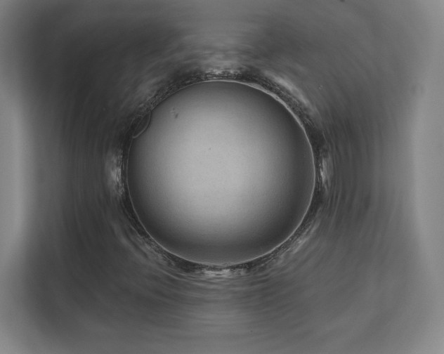 X0000111791396200907231133