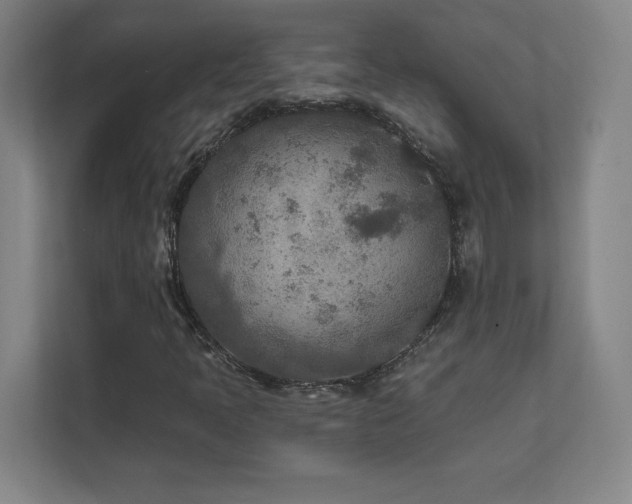 X0000111791397200907231133
