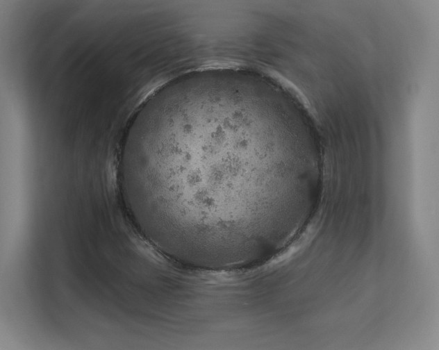 X0000111791401200907231133