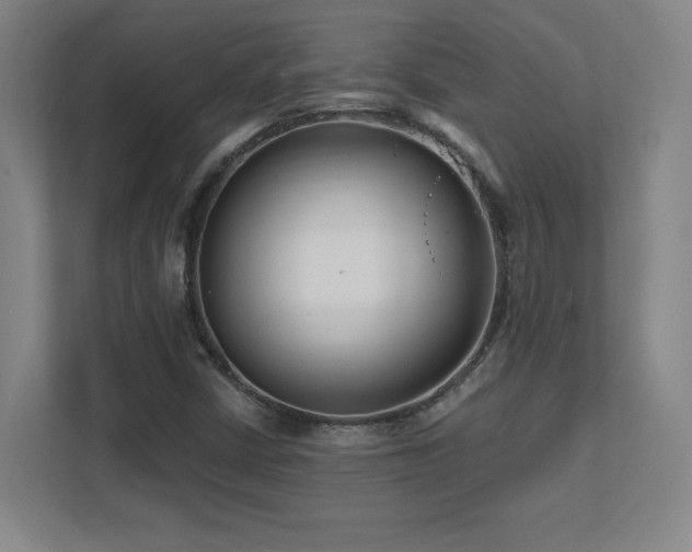 X0000111791402200907231133