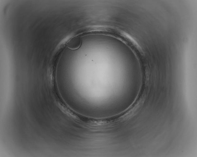 X0000111791403200907231133