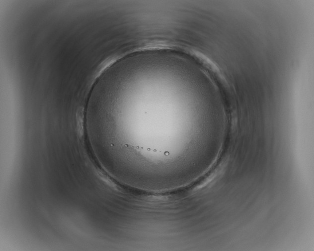 X0000111791409200907231134