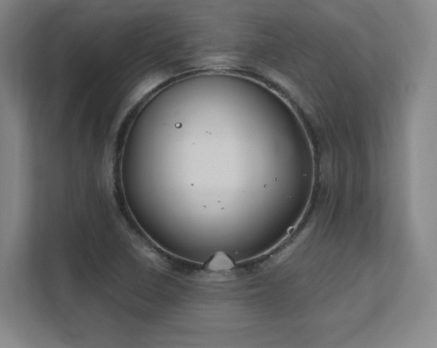 X0000111791410200907231134