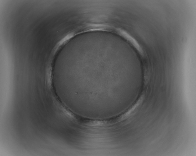X0000111791411200907231134