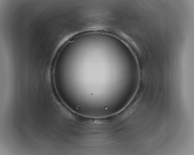 X0000111791412200907231134