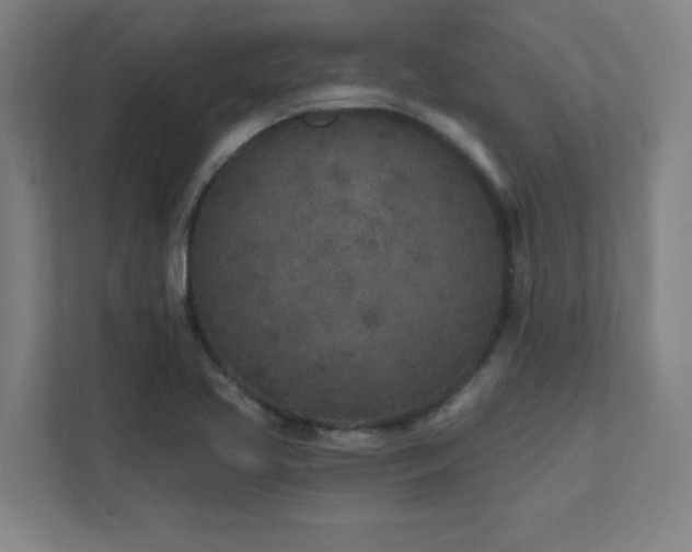 X0000111791413200907231134
