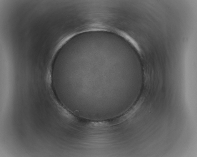X0000111791415200907231134
