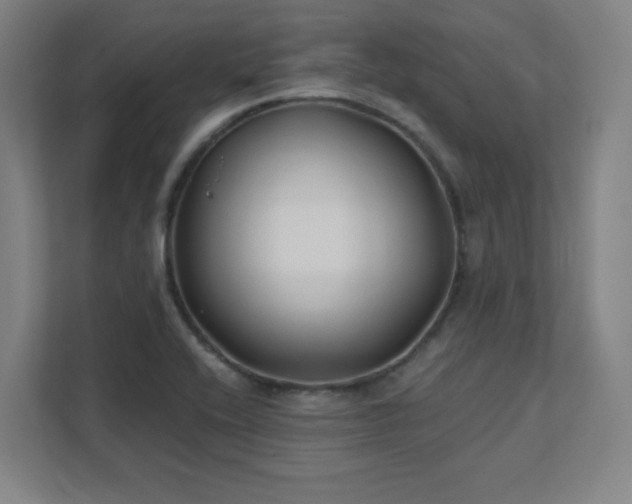 X0000111791416200907231134